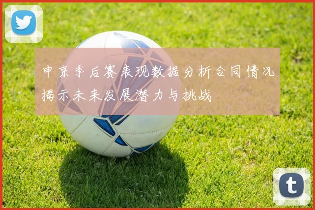 申京季后赛表现数据分析合同情况揭示未来发展潜力与挑战