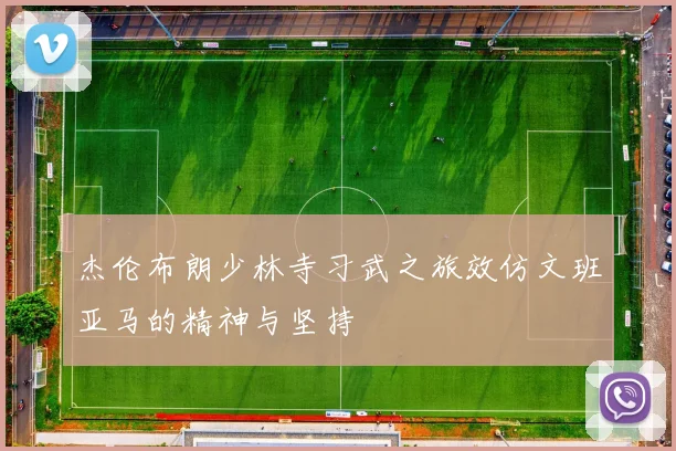 杰伦布朗少林寺习武之旅效仿文班亚马的精神与坚持